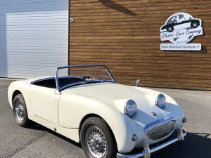 Austin Healey Frogeye - bugeye