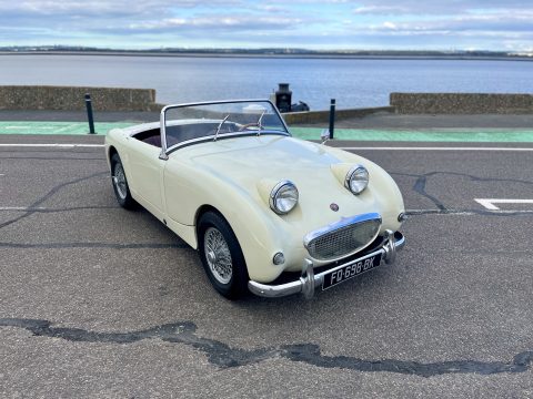 Austin Healey Frogeye - 1959